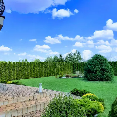 Projektowanie i zakładanie ogrodów - MJ.Garden